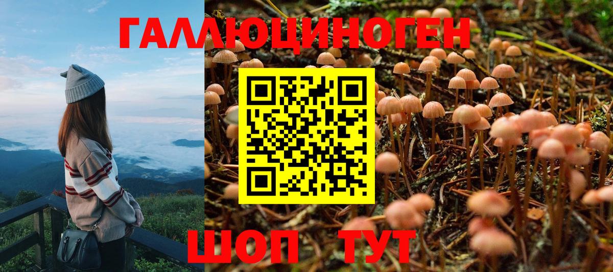 Галлюциногенные грибы MAGIC MUSHROOMS Киселёвск